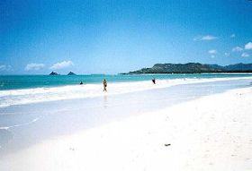 �I�l�A���r�[�`