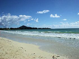 �I�l�A���r�[�`