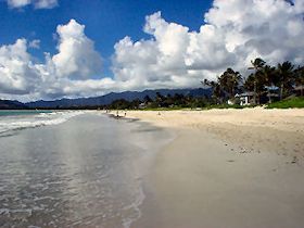 �I�l�A���r�[�`