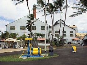 �J�t�N�̃V���K�[�~���H��