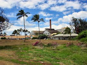 �J�t�N�̃V���K�[�~���H��