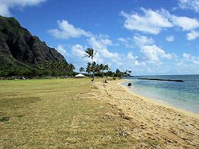 �N�A���A�E�r�[�`�p�[�N