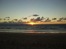 �I�l�A���r�[�`�̓��̏o