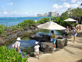 ���C�L�L������