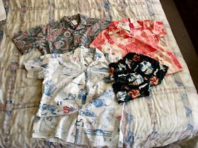 �x�C���[�Y�Ŕ������A���n�V���c��